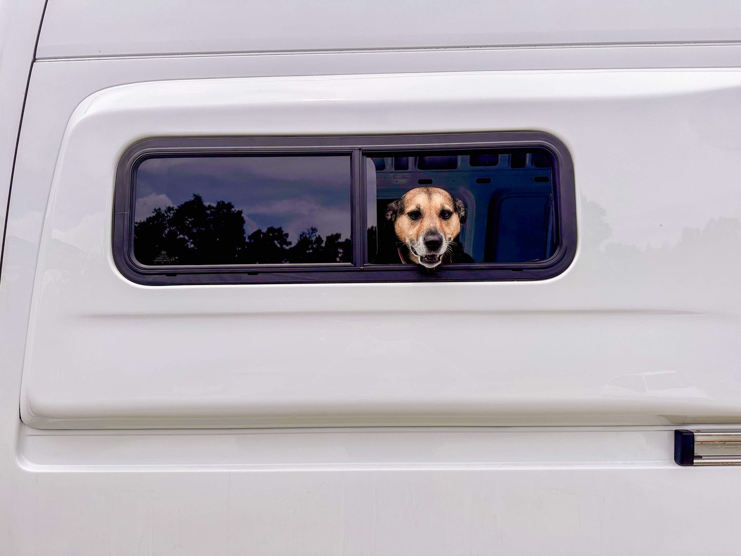 Sprinter Van Full Flare Kit